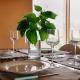 Country apartment, near Bardolino and Lazise, Calmasino (fotografie 7)