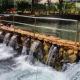 Thermas Paradise, Rio Quente - Photo 2