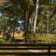 High Chaparral Cottages, El Nido (zdjęcie 4)