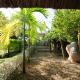 Citrus Village Villa Hoi An, Hội An - Photo 9