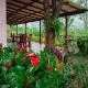 Nine Arch Homestay, Ella (foto 3)