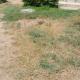 Lk home, Nanyuki - Fotografie 2