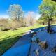 Grapevine Retreat, West Jefferson (fotografie 5)