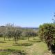 "Villa Asinara - Appartamenti Piano Terra con Giardino" Sorso - Foto 10