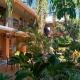 Hotel Mezvall, Morelia (Foto 7)