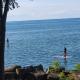 Cozy Home in Niagara-on-the-Lake, Niagara-on-the-Lake (photo 8)