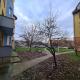Apartament primitor si convenabil pentru buzunarul tău, オラデア - 写真 10