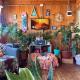 Hostal waiwen, Matanzas
