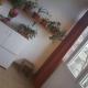 2 room apartment, Cluj-Napoca - Foto 5