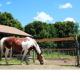 L&R, Torrington (fotografie 3)