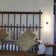 The Long Beach Resort & Spa, Koggala (photo 3)