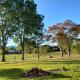 Casa de campo perto do RECANTO MAESTRO, São João do Polêsine - Foto 6