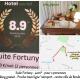LE FORTUNY - 3 Suites, 2 apparts, 1 chambre - proche TRAM ligne aéroport et parking gratuit, Mérignac (Foto 7)