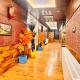 Pine View Resort, Gulmarg - Fotografie 9