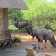 Swiblati Lodge Hoedspruit - Foto 1