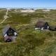 Holiday Home Fausta - 150m from the sea by Interhome, Ringkøbing