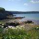 Coastal cabin, spectacular views, doorstep woodland walks, sea 5 mins, Pembrokeshire (fotografie 8)