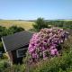 Coastal cabin, spectacular views, doorstep woodland walks, sea 5 mins, Pembrokeshire (fotografie 7)