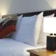 The Dolphin Hotel, Great Yarmouth (Foto 3)