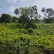 GREEN FIELDS Apartments, Mananthavady - Photo 6