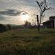 Rancho Moreira, ピアウイ - 写真 5