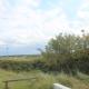 Villa Zuidwest 6, Garden, Dunes & Free parking, Zandvoort (photo 9)