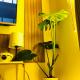Not active listing, Manille - Photo 5