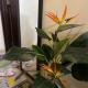 2BR Top Floor spacious unit in Mandaluyong, Манила - Фото 4