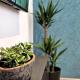 Suite Stay at 8, Split - Fotografie 2