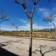 Condado de Alhama, Alhama de Murcia N549, Murcja (zdjęcie 8)
