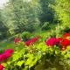 Pensiunea Liana, Bughea de Jos - 写真 10