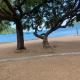 Capricorn Beachfront Cottage, Cape Maclear