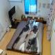 Tokyo Shibuya Shinjyuku Cat House !, Tokyo - Photo 4