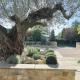 Greystone Guesthouse, Titchmarsh (foto 8)