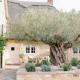 Greystone Guesthouse, Titchmarsh