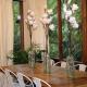 Risehill House, Kalorama (foto 6)