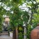 Altanure Almatere - Food Forest Boutique Stay, Tavira - Fotografie 5