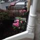 Ponsonby Boutique Villa with Private Gym, Auckland - Fotografie 2