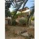 IRENA apartment by the beach, Gdinj (photo 5)
