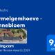 Hermelgemhoeve - Zonnebloem, Zwalm - Fotografie 3