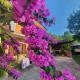 OLIVES HOUSE in Izola