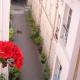 calme et repos, vue sur les arbres, Paris - Foto 1