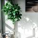 Luxurious Hollywood condo, Los Angeles - Foto 5