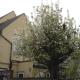 Compton Guest House, Лондон - Фото 10