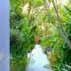 Unique Art & Nature Hideaway Walk to Wilton Drive Fort Lauderdale - Foto 10