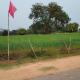 Laxmi home stay, Ghūra - Photo 8