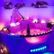 Hot Jacuzzi in Cracow, Krakov - Fotografie 1