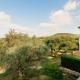 Country Home, Arcos de la Frontera (fotografie 5)