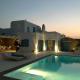 Sea View Villa with Private Pool, Ornos (foto 3)