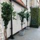 7 Plants Yard Worksop - Foto 3